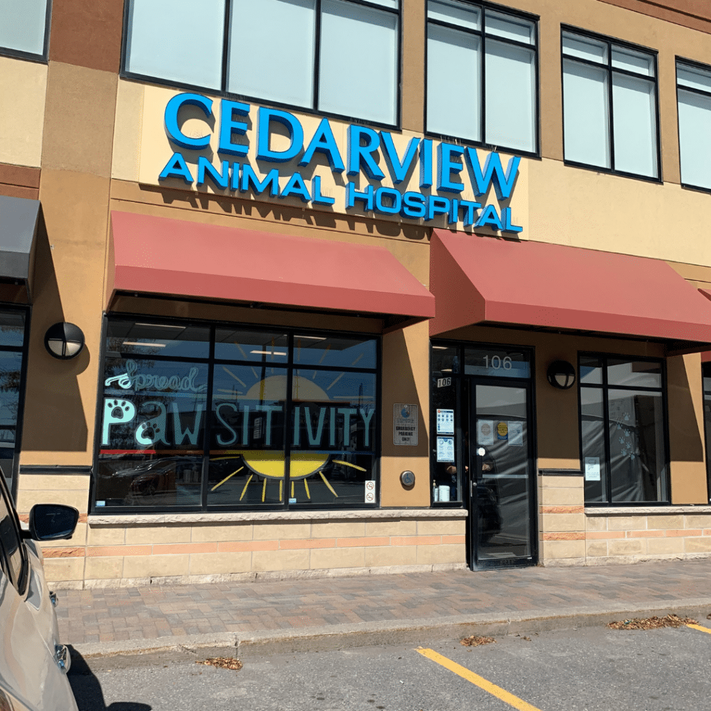 Cedarview Animal Hospital