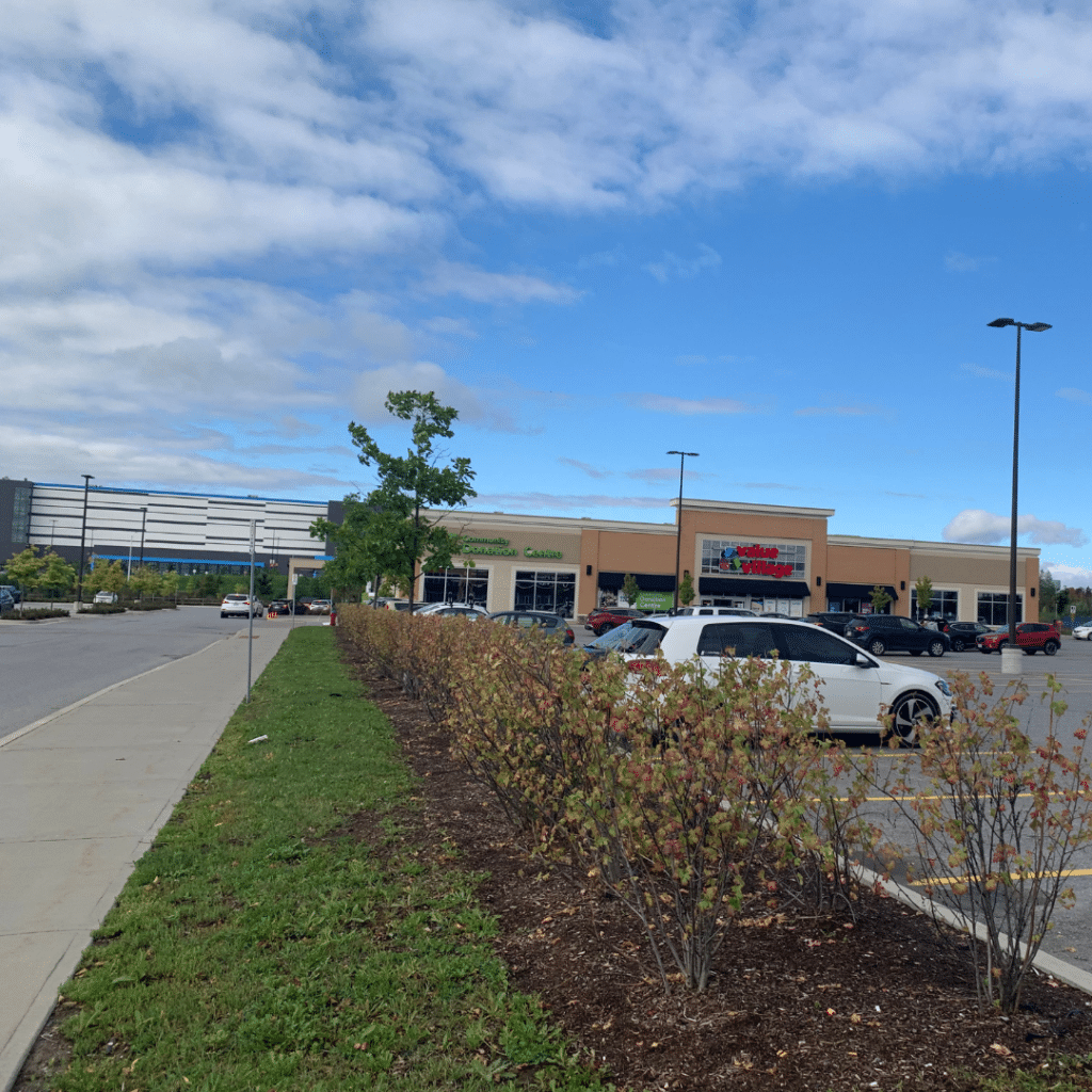 Value Village