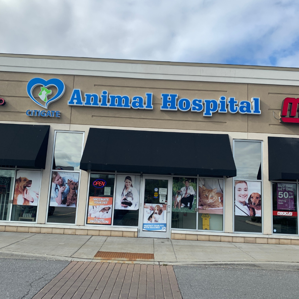 Citigate Animal Hospital