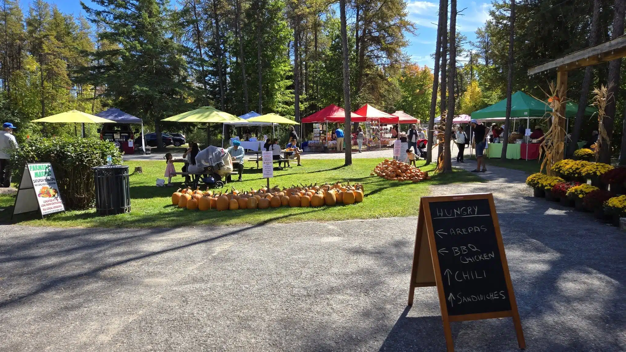 Log Farm Market – Opening Day